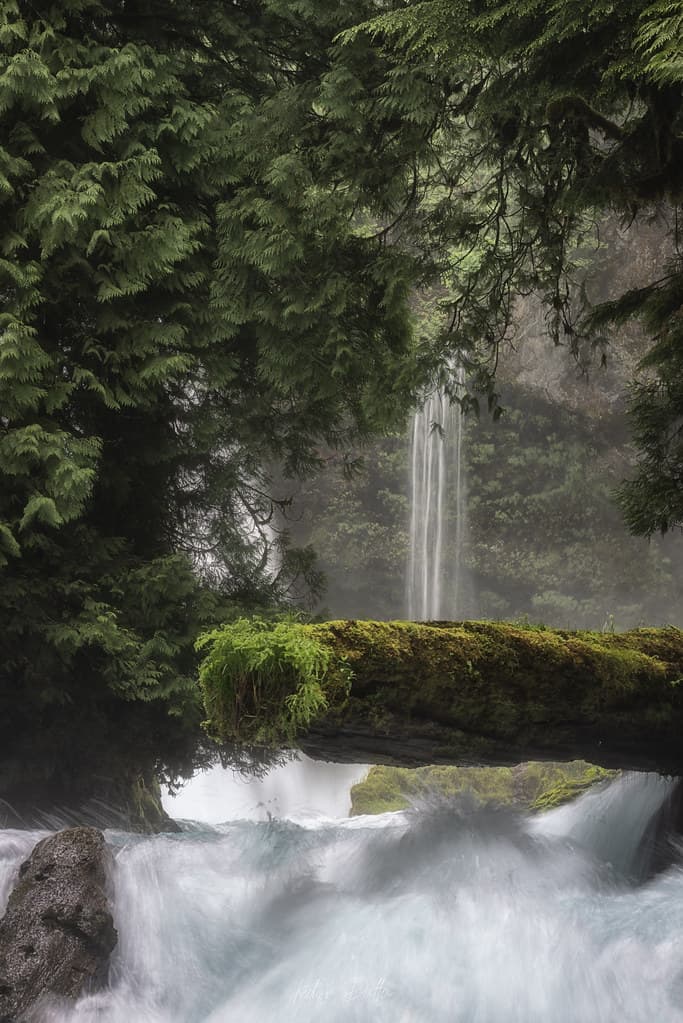 Finding El Dorado - waterfalls longexposure nikon nikond810 benro waterfall green trees river oregon landscape kedardatta